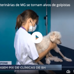 Clínicas veterinárias de MG se tornam alvos de golpistas