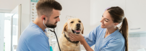 Radiologia Veterinária Fundamentos e Impacto nos Diagnósticos