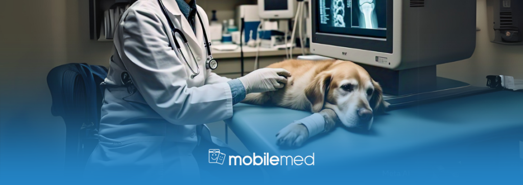 Benefícios da Telerradiologia em Diagnóstico Animal